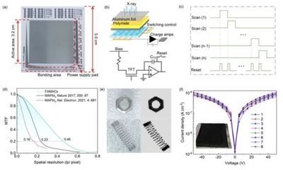 接连登上Science子刊、AM和AFM！钙钛矿与量子点传感成像技术频获突破